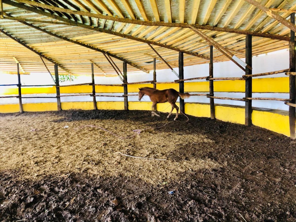 Zacatlán Cabanas El Pajar מראה חיצוני תמונה