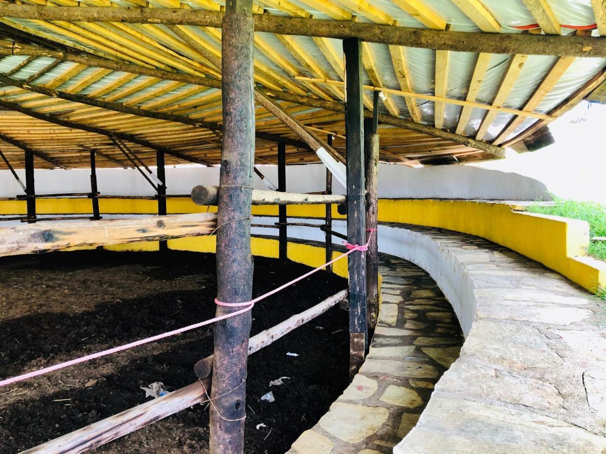 Zacatlán Cabanas El Pajar מראה חיצוני תמונה